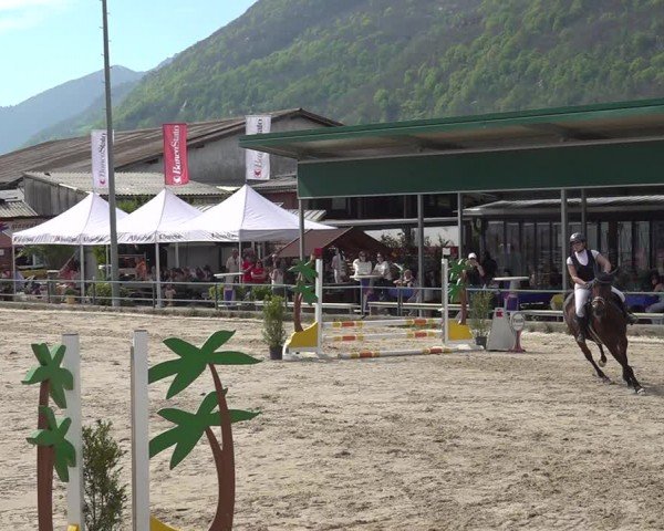 Reitturnier Giubiasco 2024