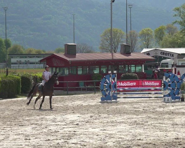 Reitturnier Giubiasco 2024