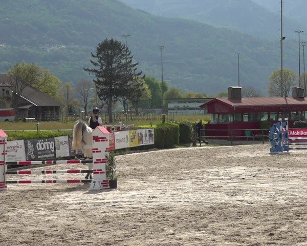 Reitturnier Giubiasco 2024
