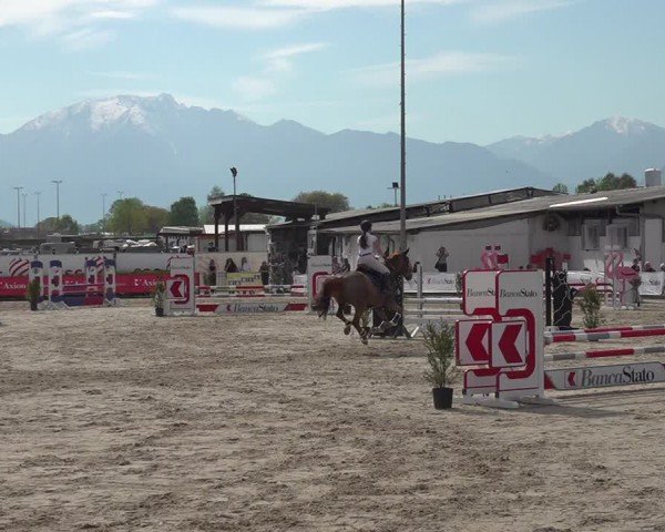 Reitturnier Giubiasco 2024
