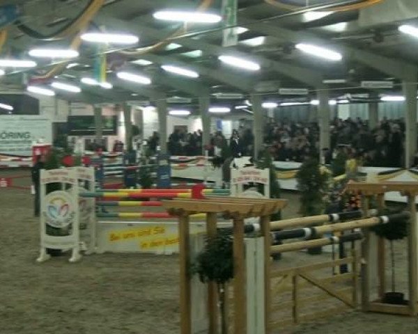 20. Grosses Hallen Springturnier in Vreden
