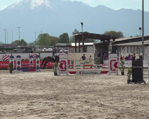 Reitturnier Giubiasco 2024