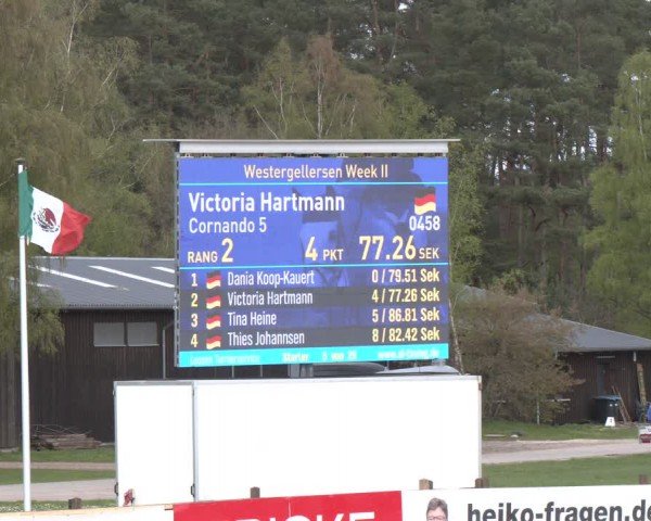 Reitturnier Westergellersen 2024