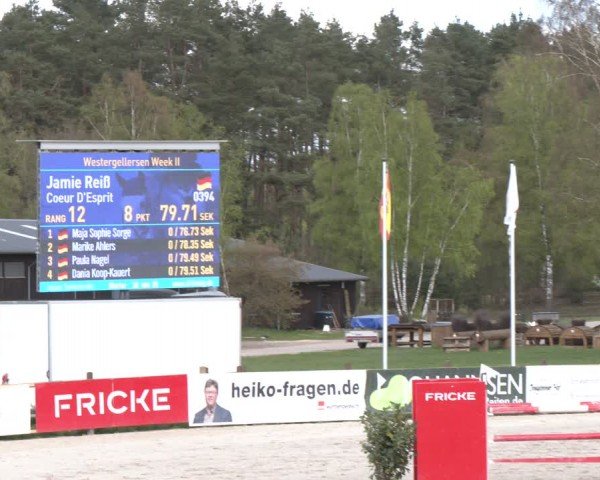 Reitturnier Westergellersen 2024
