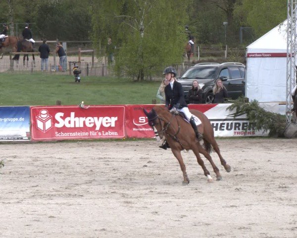 Reitturnier Westergellersen 2024