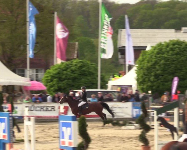 Lenklarer Reitertage Werne 2024