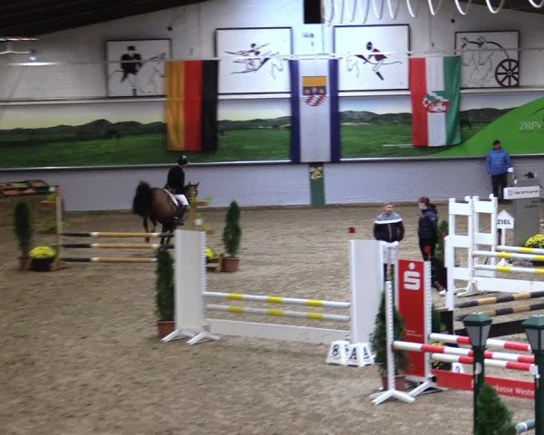 23. Legdener Ponymeeting 2021