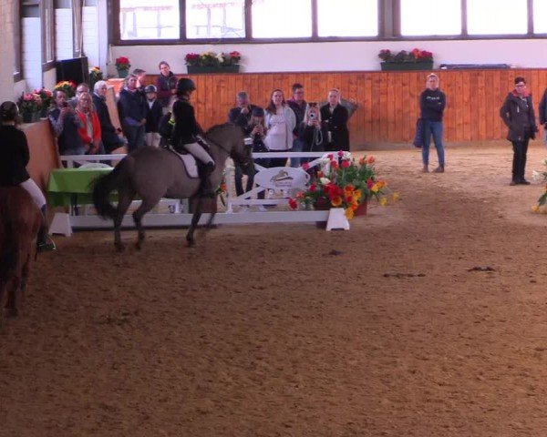 Lenklarer Reitertage Werne 2024