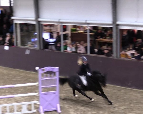 23. Legdener Ponymeeting 2021