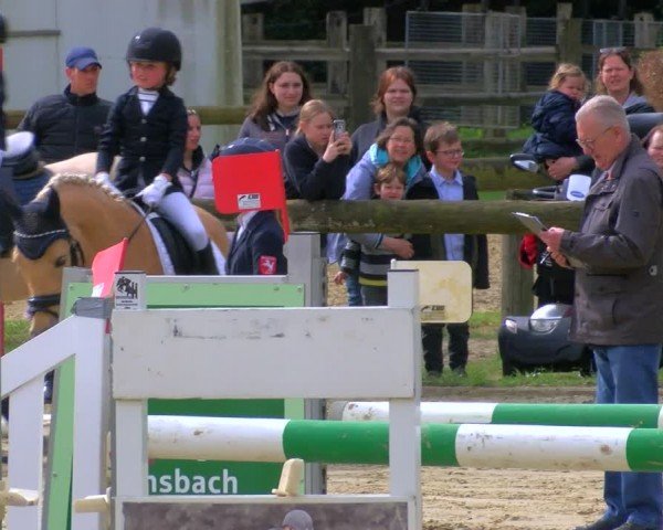 Reitturnier Rhede 2024