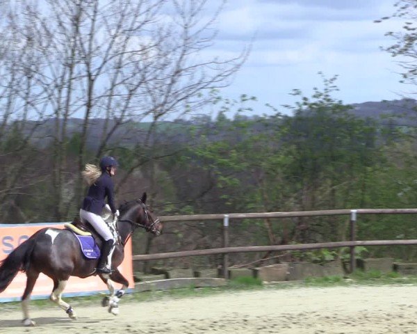 Reitturnier Marienheide-Kempershöhe 2024
