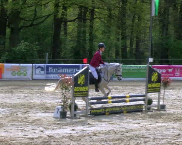 Reitturnier Rhede 2024