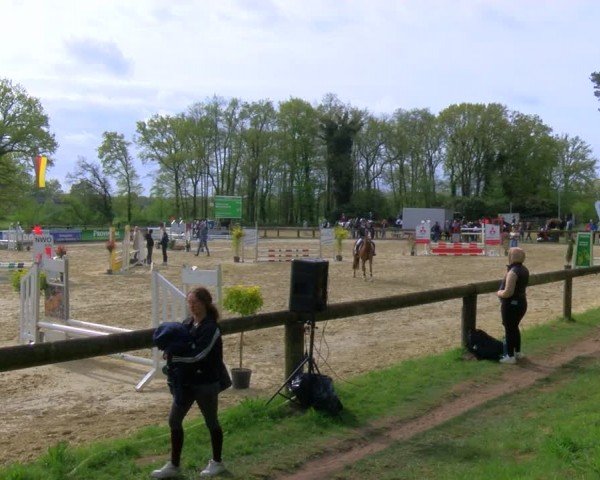 Reitturnier Rhede 2024