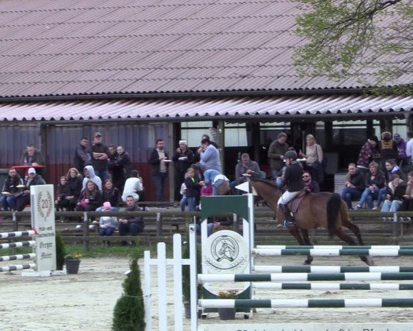 Reitturnier Marienheide-Kempershöhe 2024