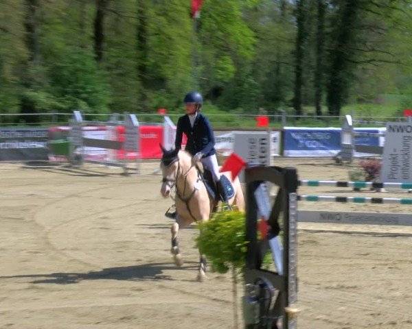 Reitturnier Rhede 2024