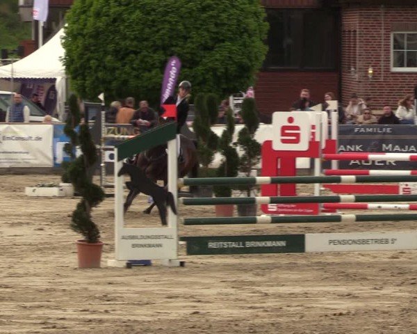 Lenklarer Reitertage Werne 2024