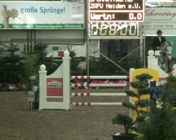 20. Grosses Hallen Springturnier in Vreden