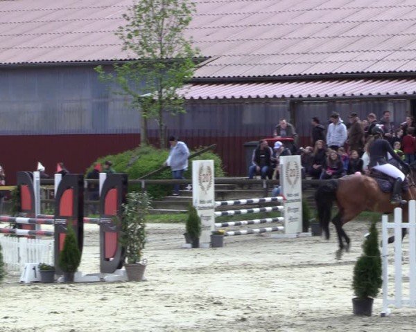 Reitturnier Marienheide-Kempershöhe 2024