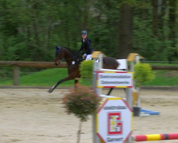 Reitturnier Rhede 2024