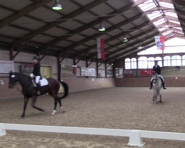 Reitturnier Elisenau 2021