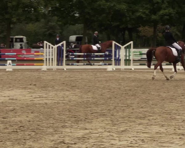 Reitturnier Lüdinghausen 2021
