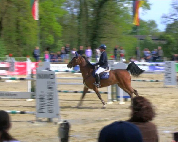 Reitturnier Rhede 2024