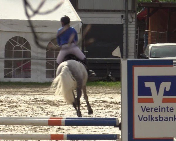 Reitturnier Bottrop 2024