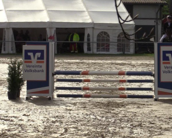 Reitturnier Bottrop 2024