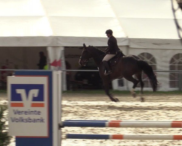 Reitturnier Bottrop 2024
