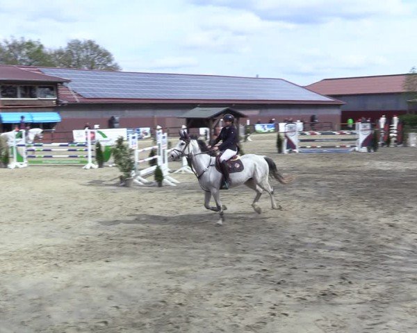 Reitturnier Marienheide-Kempershöhe 2024