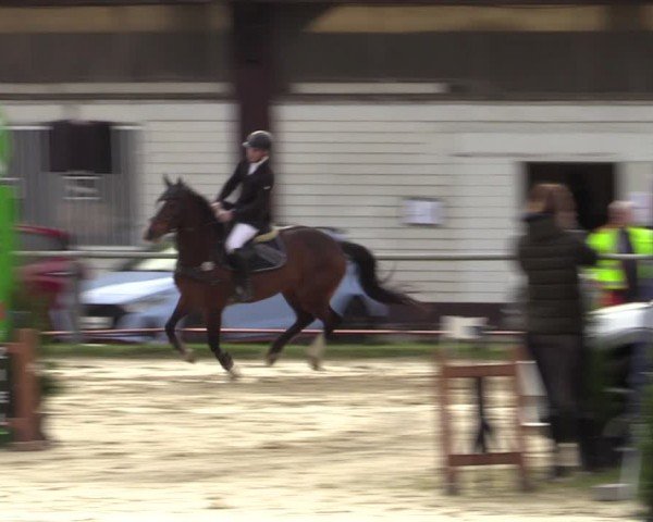 Reitturnier Bottrop 2024