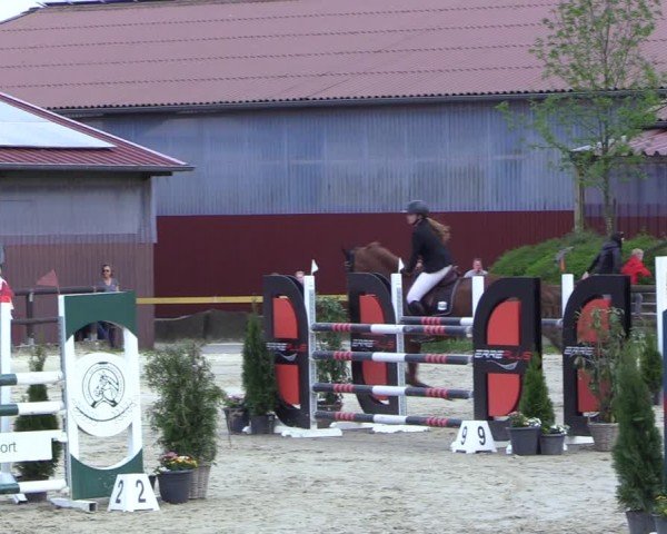 Reitturnier Marienheide-Kempershöhe 2024