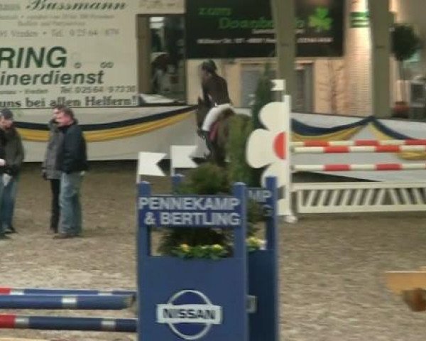 20. Grosses Hallen Springturnier in Vreden