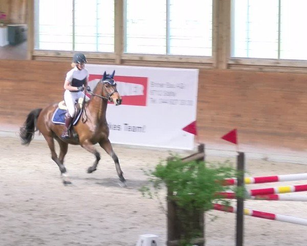 Reitturnier Rüti 2024