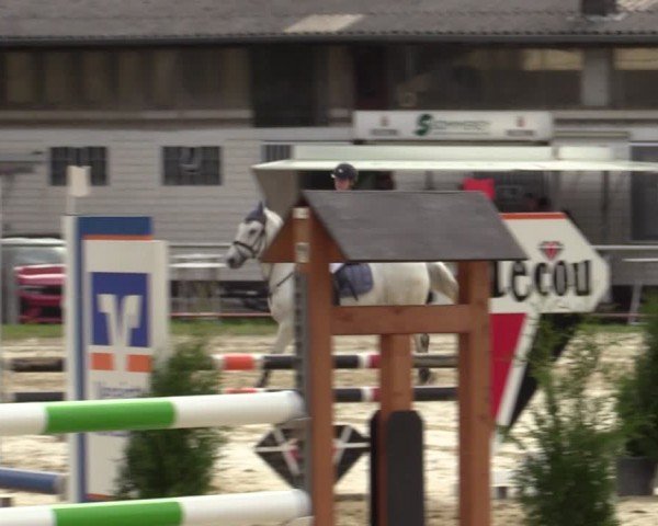 Reitturnier Bottrop 2024