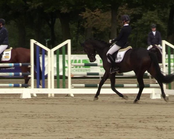 Reitturnier Lüdinghausen 2021