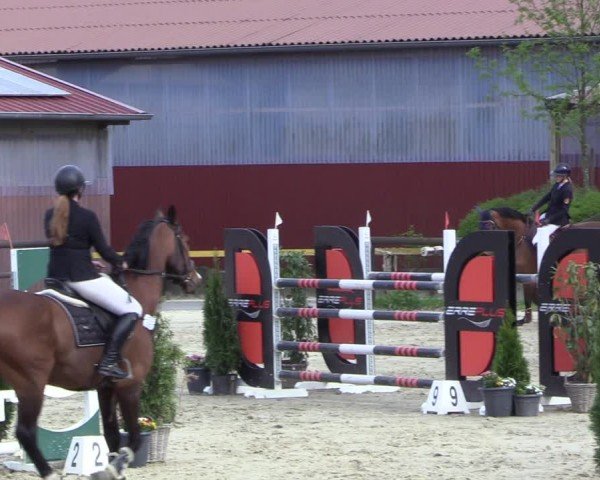 Reitturnier Marienheide-Kempershöhe 2024