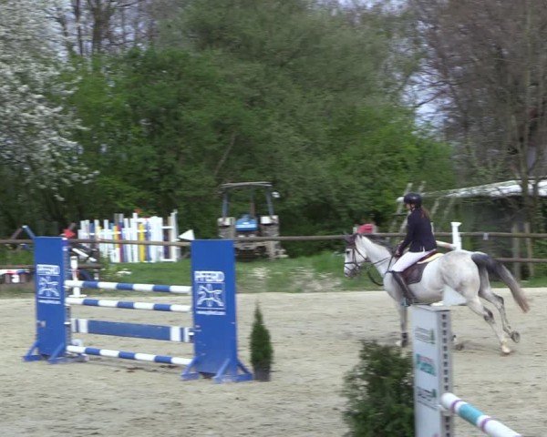 Reitturnier Marienheide-Kempershöhe 2024