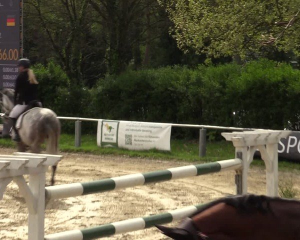 Reitturnier Bottrop 2024