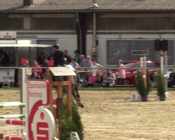 Reitturnier Bottrop 2024