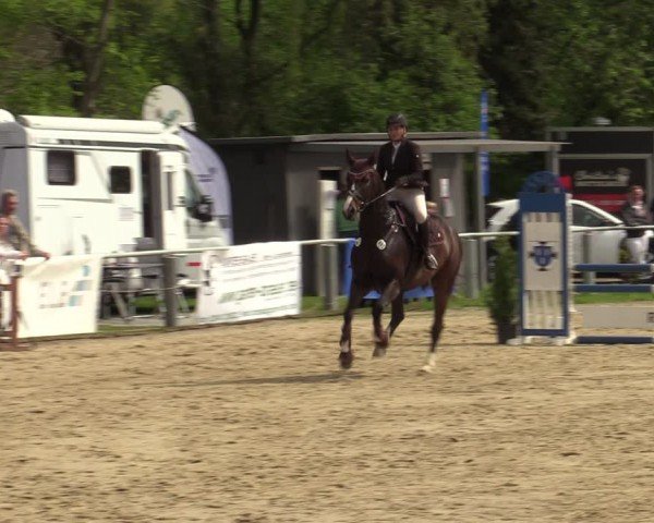 Reitturnier Bottrop 2024