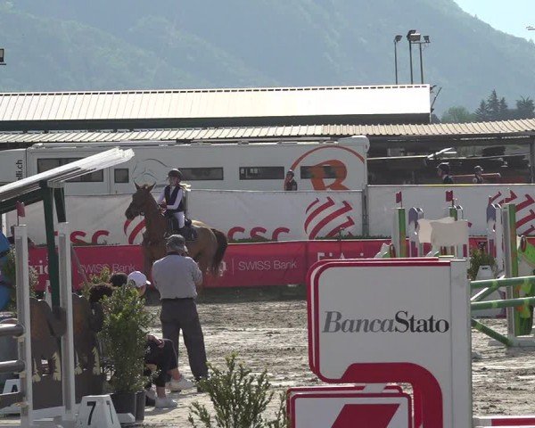 Reitturnier Giubiasco 2024