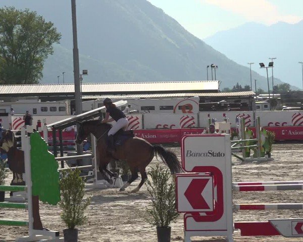 Reitturnier Giubiasco 2024
