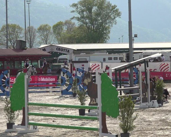 Reitturnier Giubiasco 2024