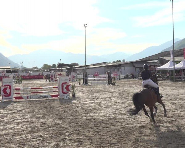 Reitturnier Giubiasco 2024
