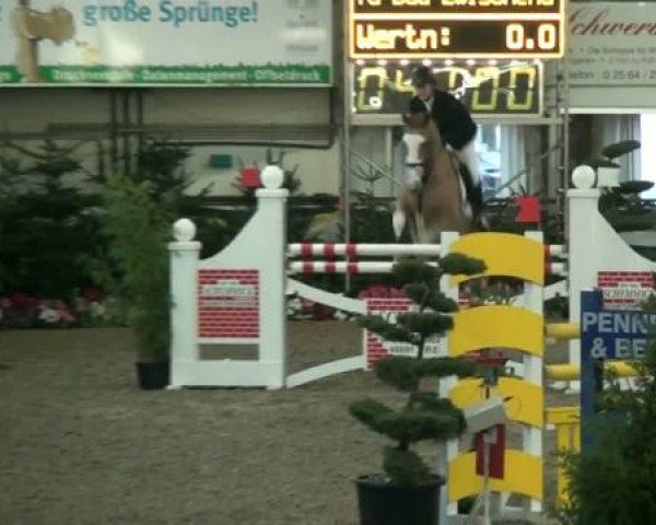 20. Grosses Hallen Springturnier in Vreden
