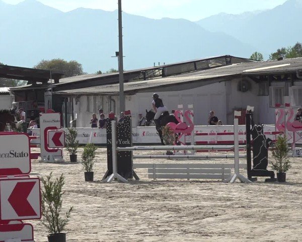 Reitturnier Giubiasco 2024