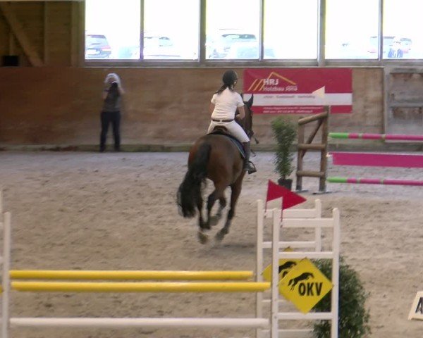 Reitturnier Rüti 2024