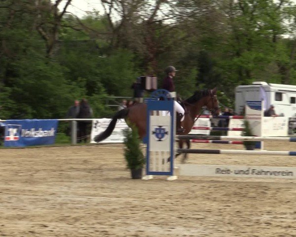 Reitturnier Bottrop 2024