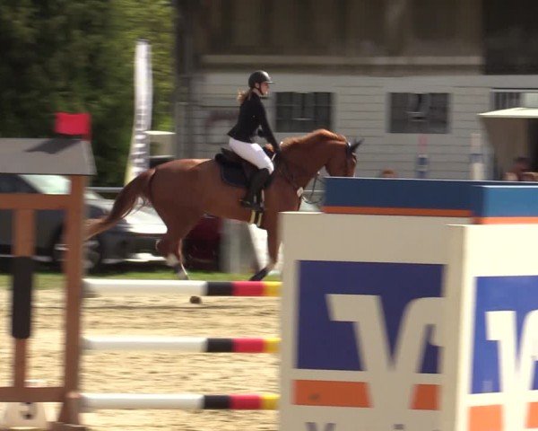 Reitturnier Bottrop 2024